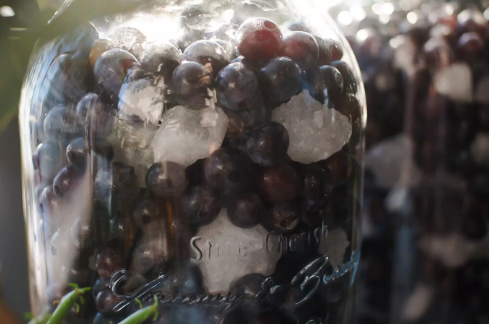 自酿葡萄酒有毒是真的吗(自酿红葡萄酒有毒吗) 自酿葡萄酒有毒是真的吗(自酿红葡萄酒有毒吗)