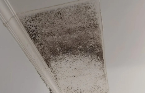 外墙渗水到内墙能彻底解决吗(外墙渗水到内墙如何解决)