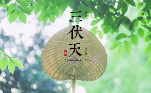 2022年三伏天热不热(2021年三伏天末伏还热吗) 2022年三伏天热不热(2021年三伏天末伏还热吗)