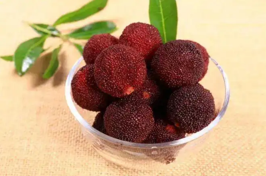 杨梅核吞进肚子会肚子疼吗(吃杨梅核肚子痛怎么办)