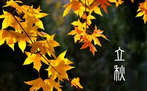 2022年8月几号立秋(2022啥时候立秋) 2022年8月几号立秋(2022啥时候立秋)