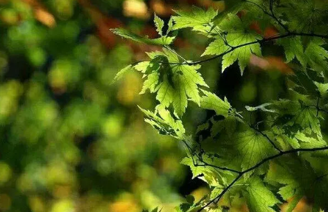 2022处暑这天下雨好还是不下雨好(处暑要下雨吗) 2022处暑这天下雨好还是不下雨好(处暑要下雨吗)