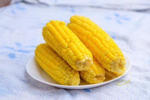 甜玉米煮的时候要放盐吗(煮玉米的时候要加盐吗) 甜玉米煮的时候要放盐吗(煮玉米的时候要加盐吗)