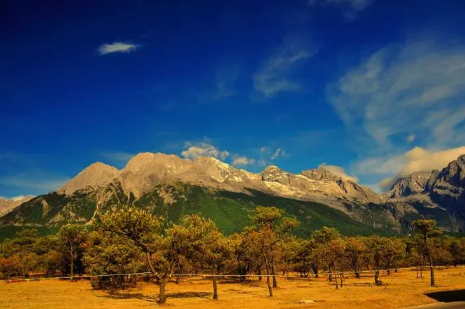 香格里拉在哪个城市(香格里拉在哪个省哪个城市) 香格里拉在哪个城市(香格里拉在哪个省哪个城市)