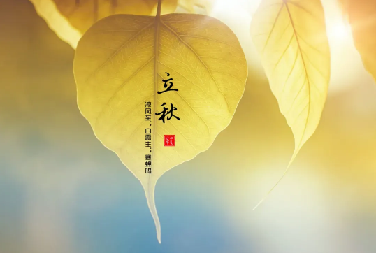 2022年立秋是公立秋还是母立秋(今年立秋是公立秋还是母立秋)