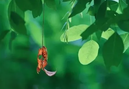 2022年处暑大概多少度(2021年处暑的时间)