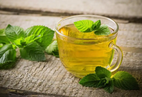 薄荷泡水喝可以去口臭吗(薄荷能去口臭吗)