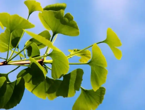 2022立秋后是热还是凉快(立秋就凉快了吗2020)