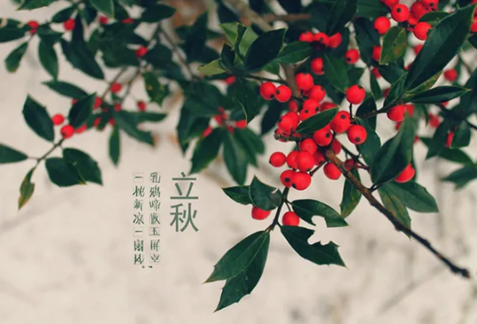 2022年立秋时间几点几分几秒(2025年立秋是几点几分几秒)