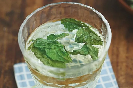 薄荷泡水怎么泡出清凉味(薄荷泡水的味道) 薄荷泡水怎么泡出清凉味(薄荷泡水的味道)