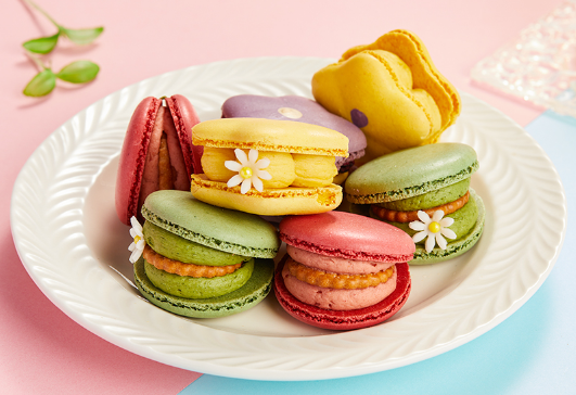 马卡龙放冰箱冷藏还是冷冻(马卡龙保存常温还是冰箱) 马卡龙放冰箱冷藏还是冷冻(马卡龙保存常温还是冰箱)