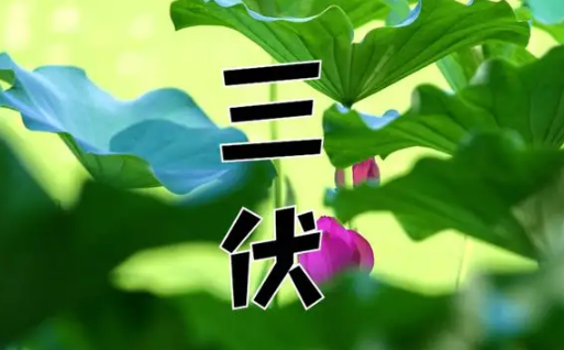 2022年三伏天一伏多少天(2021年三伏天) 2022年三伏天一伏多少天(2021年三伏天)