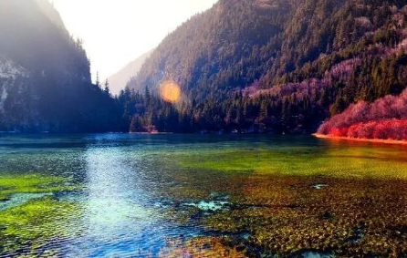 7月份去成都需要48h核酸检测吗(12月去成都需要核酸检测吗)