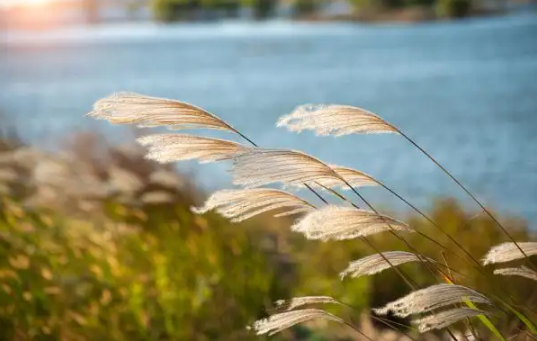 2022年立秋时间预示睁眼秋还是闭眼秋(今年立秋是睁眼秋)