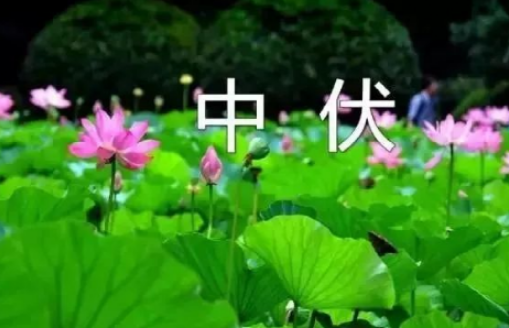 2022年中伏是几月几号(中伏末伏是几月几号2021年)