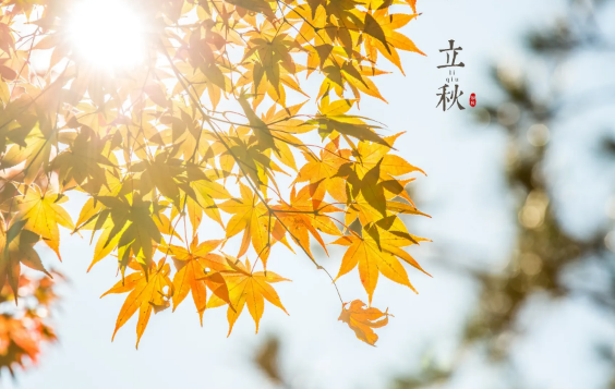 2022年立秋当天可以结婚吗(2021年立冬当天结婚好吗)