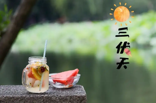 三伏天从哪个节气开始到哪个节气结束(三伏天是什么节气到什么节气)