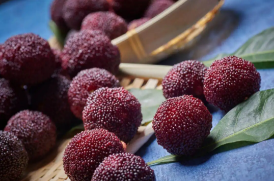 杨梅核打碎了可以吃吗(杨梅核吃了怎么办)