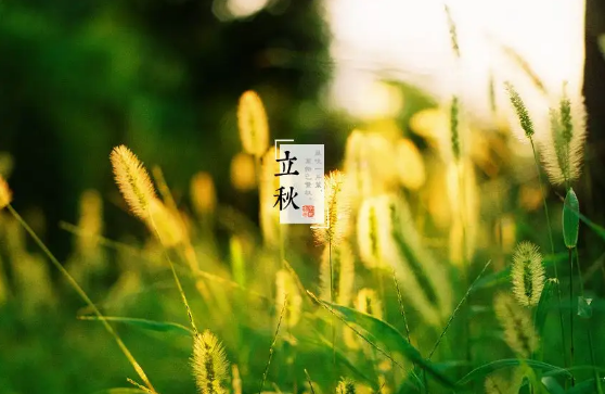 2022年立秋时间几点几分几秒(2025年立秋是几点几分几秒)