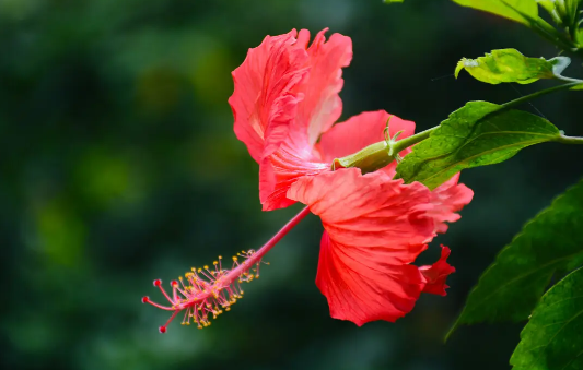 2022年7月有什么节日和纪念日(2022年的七月份)