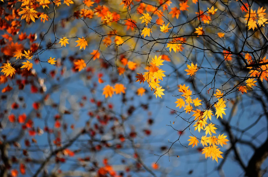 2022年立秋的日子不好吗(2021年立秋是好日子吗)