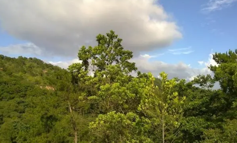 2022年国庆节热不热(国庆节还热不)