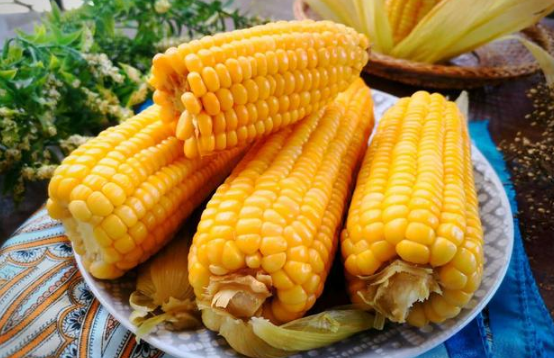 甜玉米可以直接生吃吗(甜玉米粒可以直接吃吗) 甜玉米可以直接生吃吗(甜玉米粒可以直接吃吗)