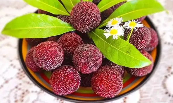 不小心吞了杨梅核会排出来吗(一不小心吞了杨梅核怎么办)