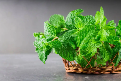 薄荷开花了还可以食用吗(薄荷怎么会开花) 薄荷开花了还可以食用吗(薄荷怎么会开花)