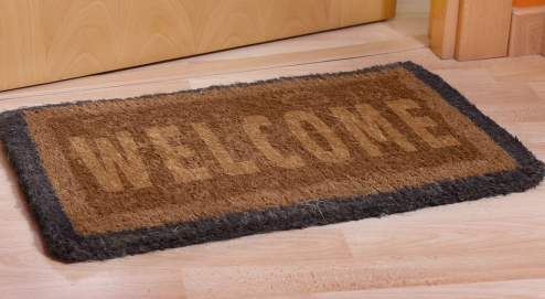 门口地垫出入平安怎么放(门口地垫出入平安怎么放方问)