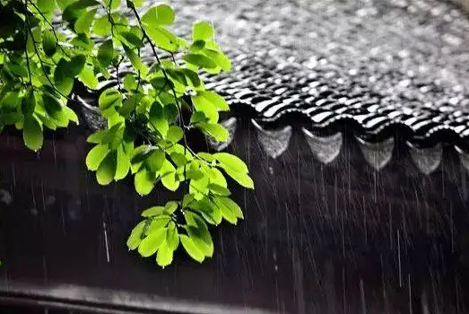 2022年7月几号出梅(2021年6月几号入梅,几号出梅)