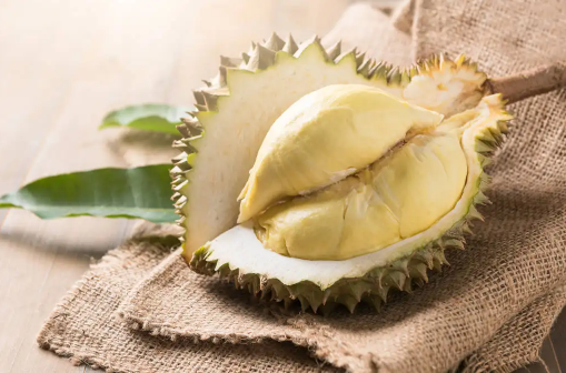 榴莲肉硬放冷冻里能熟吗(榴莲放冷冻会变硬吗) 榴莲肉硬放冷冻里能熟吗(榴莲放冷冻会变硬吗)