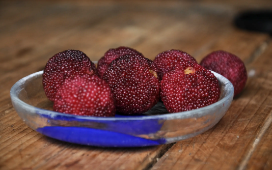 发霉的杨梅煮熟了能吃吗(杨梅发霉了还能吃)