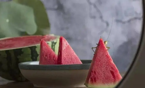 为什么三伏天排寒湿最好(三伏排寒湿的重要性)