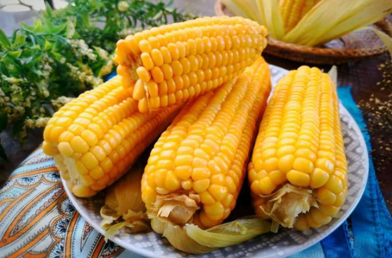 甜玉米和糯米玉米哪个减肥效果好(糯玉米和甜玉米哪个更减肥)