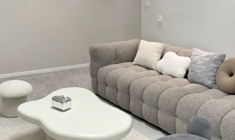 布艺沙发可以用洗衣机洗吗(布艺沙发能洗吗)