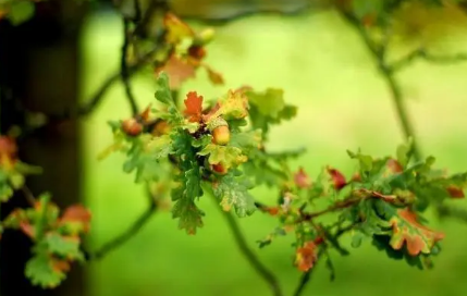 2022处暑过后还要热多久(距离2021年处暑还有多少天)