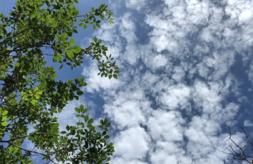 河南热还是广东热(广东热还是湖南热)