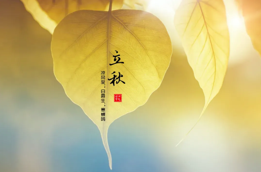 2022立秋后是热还是凉快(立秋就凉快了吗2020)