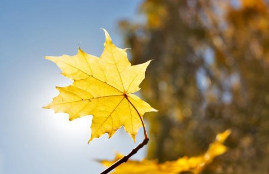 2022年立秋是早立秋还是晚立秋(2021年立秋时间是早立秋还是晚立秋) 2022年立秋是早立秋还是晚立秋(2021年立秋时间是早立秋还是晚立秋)