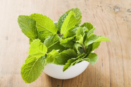 吃薄荷为什么会觉得凉(薄荷吃着凉是因为)