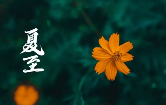 入伏是从哪个节气开始(什么节气之后开始入伏)