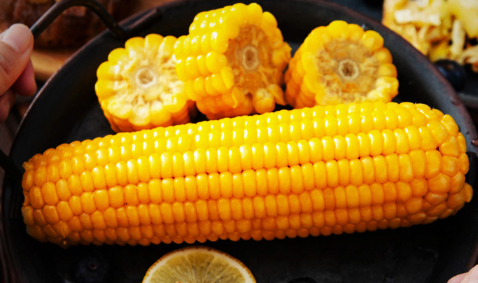 6元一根的新东方玉米农民能赚多少 6元一根的新东方玉米农民能赚多少