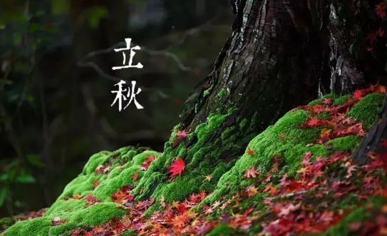 2022年立秋是早立秋还是晚立秋(2021年立秋时间是早立秋还是晚立秋)