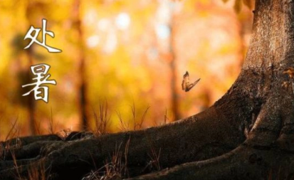 2022处暑这天下雨好还是不下雨好(处暑要下雨吗) 2022处暑这天下雨好还是不下雨好(处暑要下雨吗)