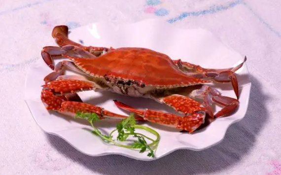 生的新鲜海蟹怎么保存(鲜活海螃蟹怎么保存才新鲜) 生的新鲜海蟹怎么保存(鲜活海螃蟹怎么保存才新鲜)