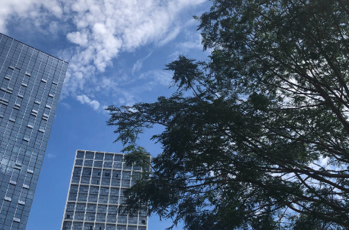 河南热还是广东热(广东热还是湖南热) 河南热还是广东热(广东热还是湖南热)