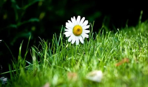 2022年处暑是哪天(2020年处暑是哪一天)