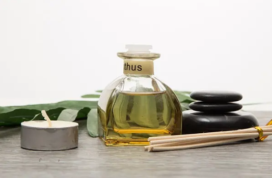 茶树精油的功效与作用及使用方法(茶树精油的功效与作用及禁忌的功效与作用)