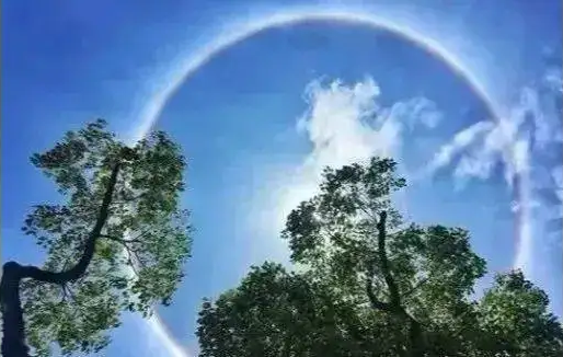 什么时候进入三伏天2022年(2022年到2035年三伏天时间) 什么时候进入三伏天2022年(2022年到2035年三伏天时间)